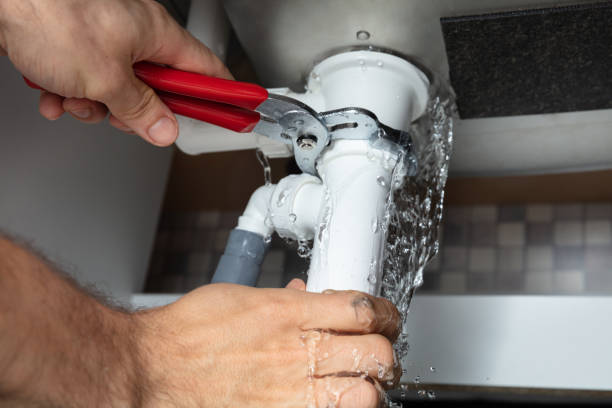 Best Fire Damage Restoration  in Lochearn, MD