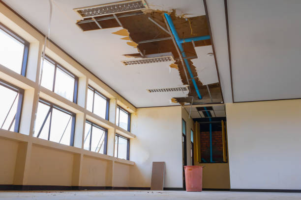 Best Water damage restoration specialists  in Lochearn, MD