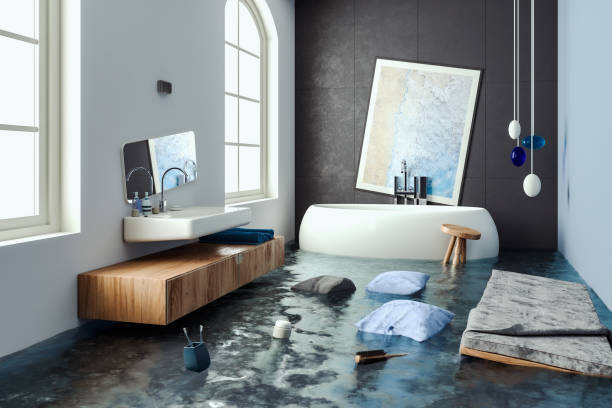 Best Emergency water damage restoration  in Lochearn, MD