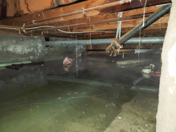 Best 24/7 water damage repair  in Lochearn, MD