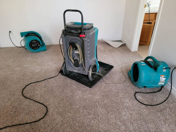 Local water damage restoration in Lochearn, MD
