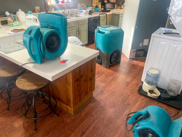 Best Water damage restoration services  in Lochearn, MD