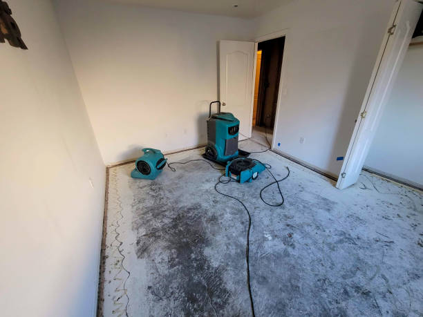 Trusted Lochearn, MD Water damage restoration Experts