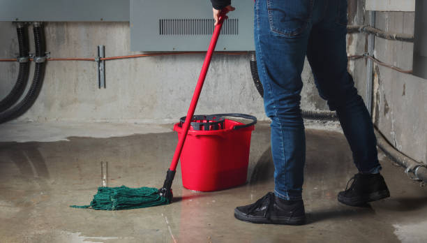 Best Carpet water damage restoration  in Lochearn, MD