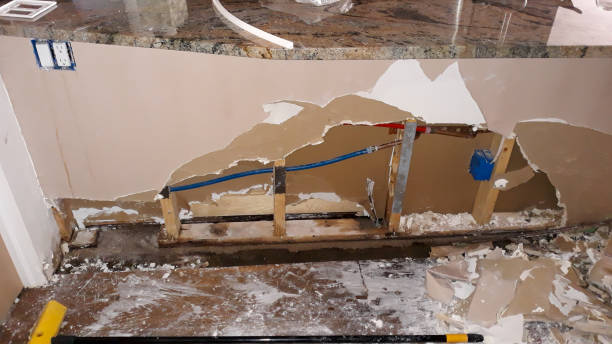 Carpet water damage restoration in Lochearn, MD