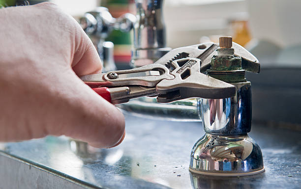 Best Water damage restoration near me  in Lochearn, MD