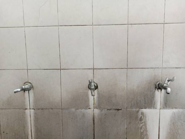 Best Carpet water damage restoration  in Lochearn, MD