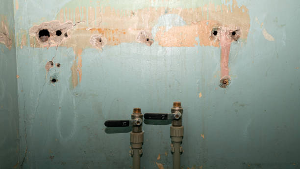 Best Water damage cleanup near me  in Lochearn, MD