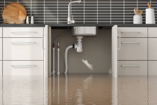 Best Fire Damage Restoration  in Lochearn, MD