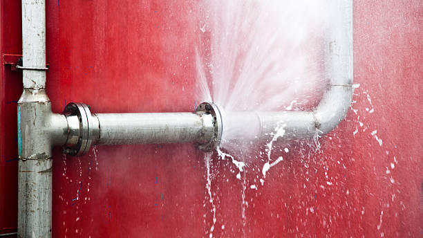 Best Emergency water damage restoration  in Lochearn, MD