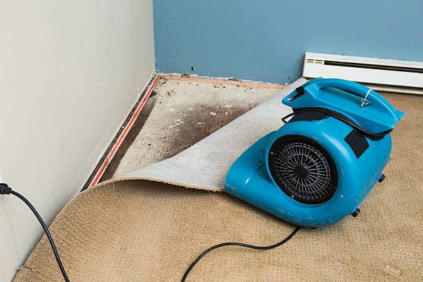 Best Flood restoration services  in Lochearn, MD